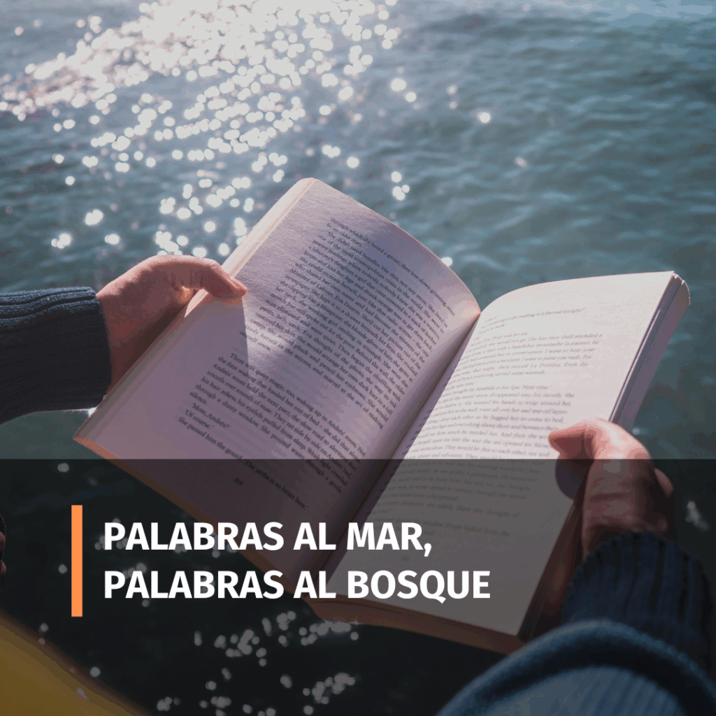 Copia-de-Anadir-un-subtitulo-12-1024x1024
