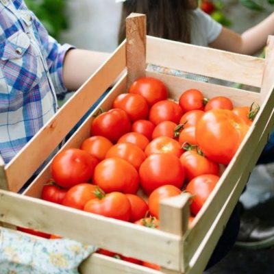 Se lanzó el programa “Agricultura Familiar en Marcha” con subsidios de hasta 23 millones de pesos