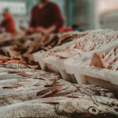 Venta de pesca artesanal: puntos habilitados en el Partido de La Costa