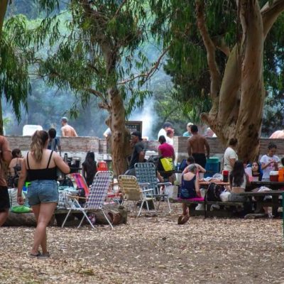 Continúa la puesta en valor de la Reserva Municipal Vivero Cosme Argerich